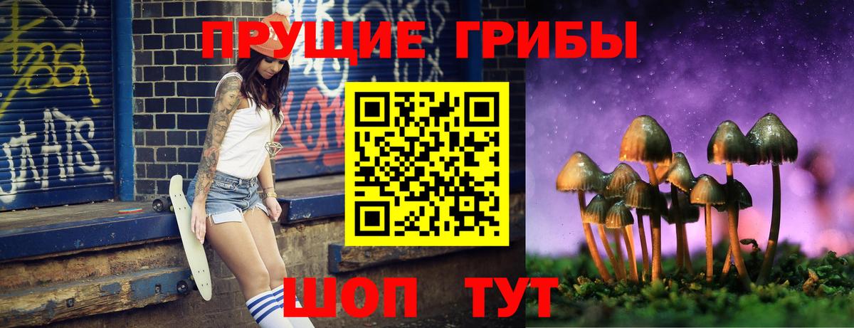 Майский  Псилоцибиновые грибы Cubensis  Вход с VPN 